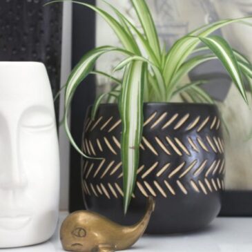 Easy ways to reduce stress and improve mental clarity.