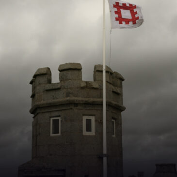 Observing Flags and What They Represent